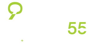 Logo INDESA 55 Años
